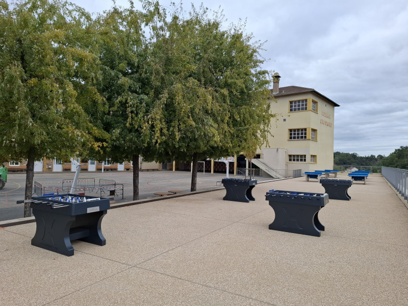 Collège Champagnat uit l’Arbresle