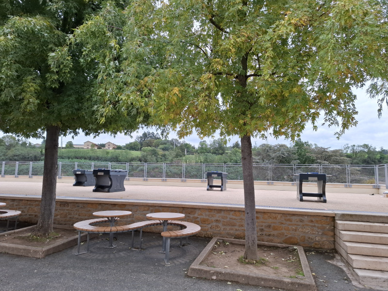 Collège Champagnat uit l’Arbresle